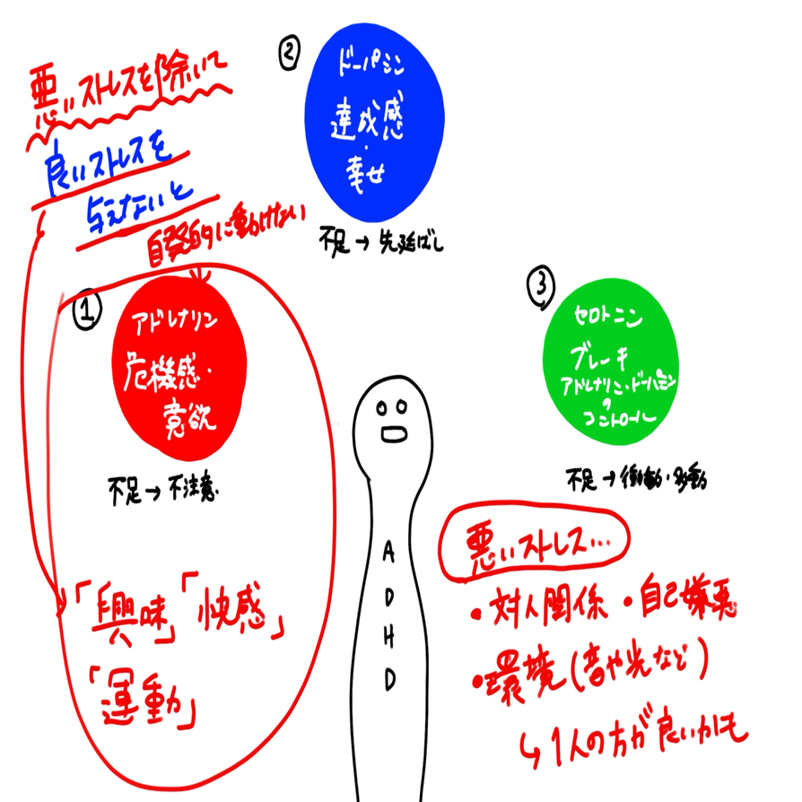 ADHDってそもそもなんなのかめっちゃ真剣に考える【衝動・不注意・先