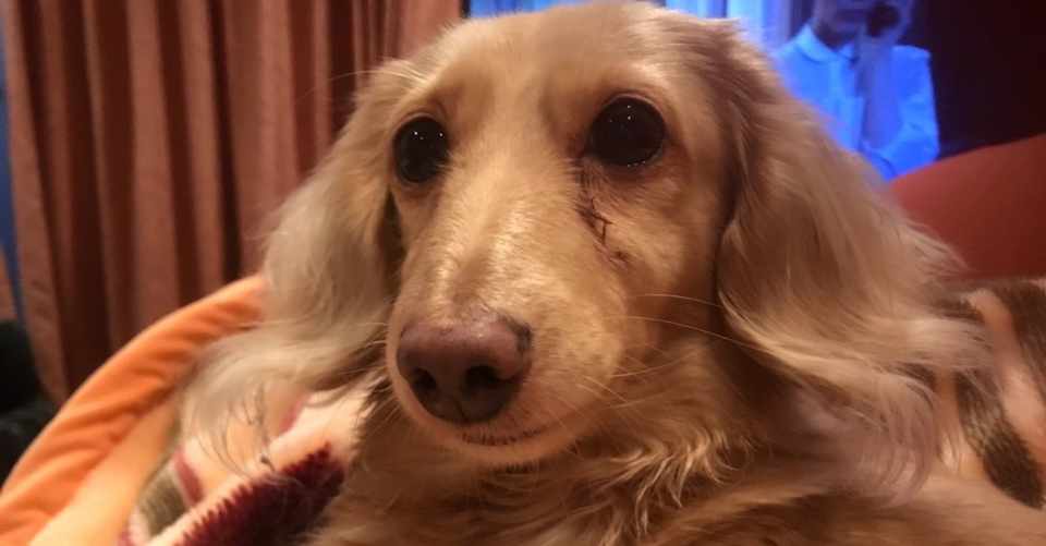 謝罪のススメ すぐ眉間にシワが寄ってしまう自分に喝 Ha Co Note