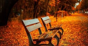 短歌) 冬こそ読みたい、木俣修の世界｜樹山 瞳