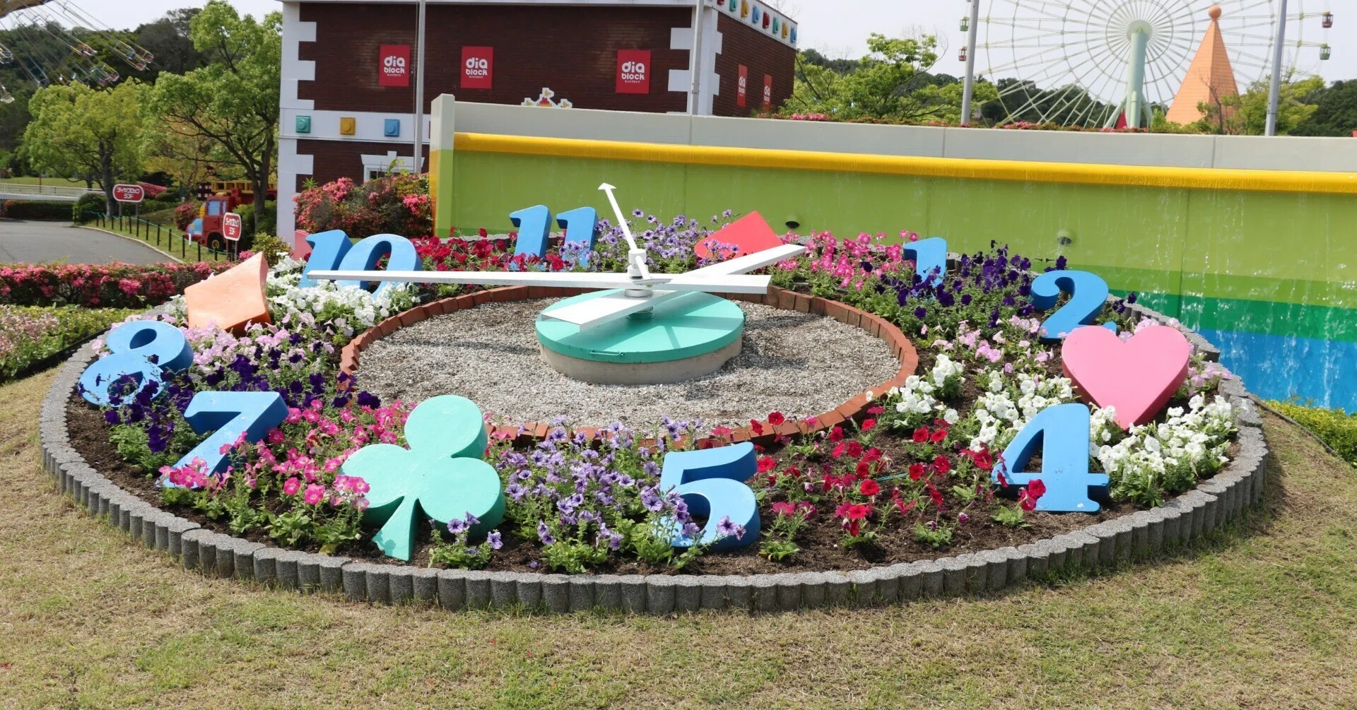 高松農業高校】高校生が種から育てた様々な草花で花時計を彩りました