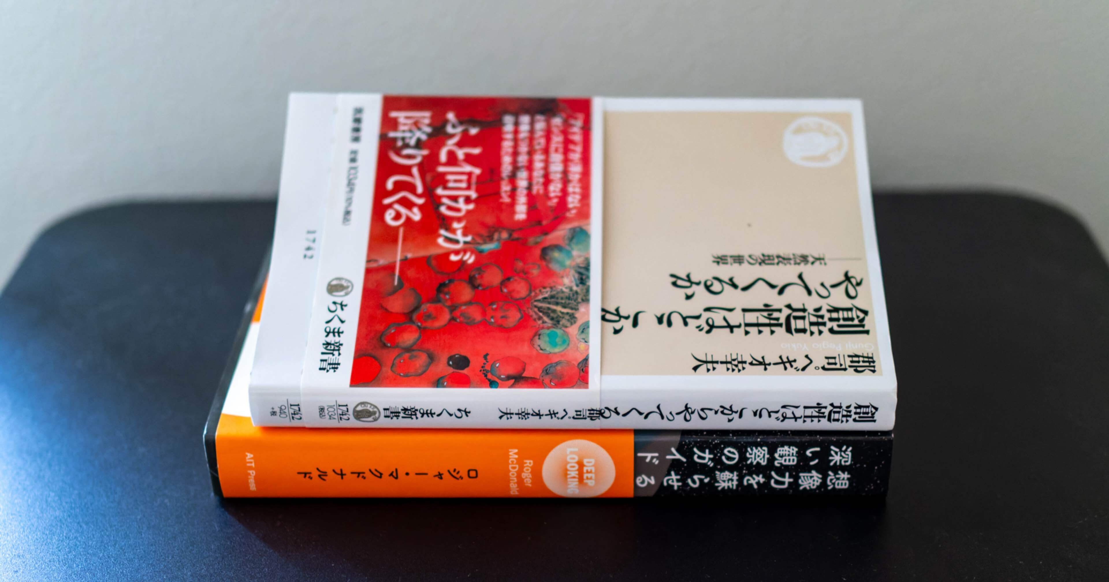 創造性はどこからやってくるか？』はじめに｜hosakanorihisa