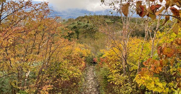 茶臼岳の紅葉