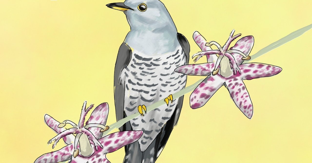 鳥のホトトギス、花のホトトギス｜くますけ｜自然ガイド