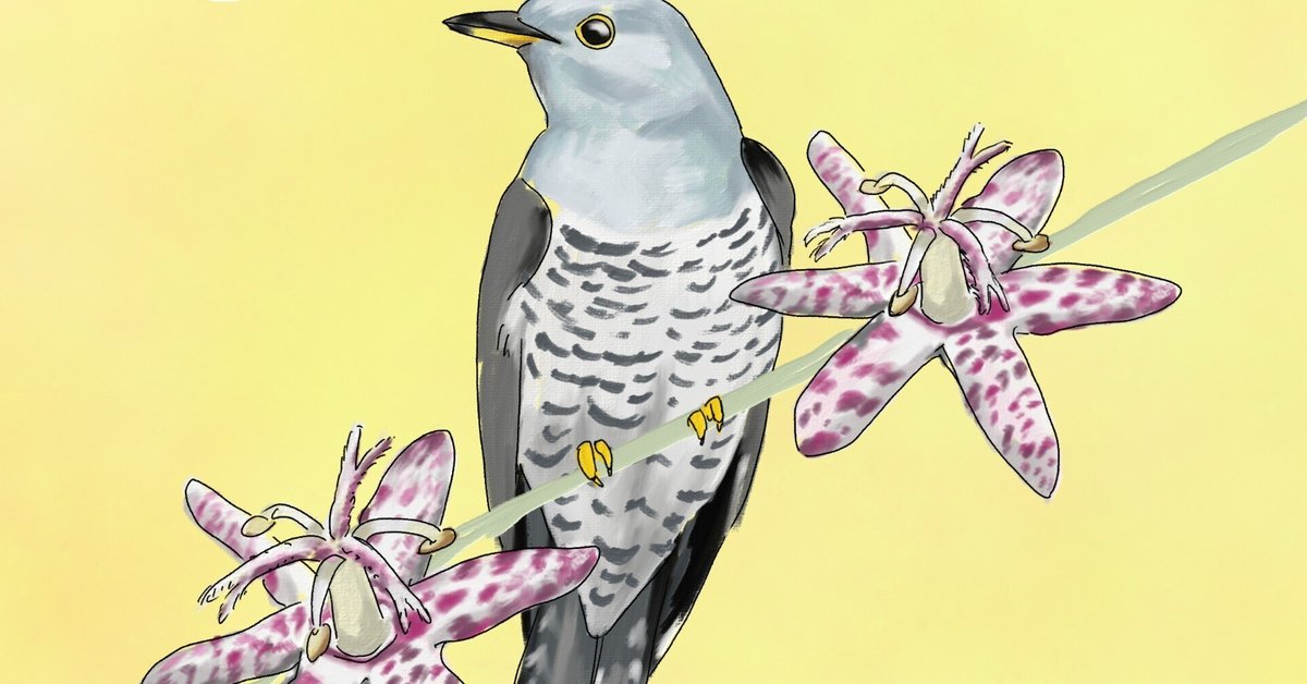 鳥のホトトギス、花のホトトギス｜くますけ｜自然ガイド