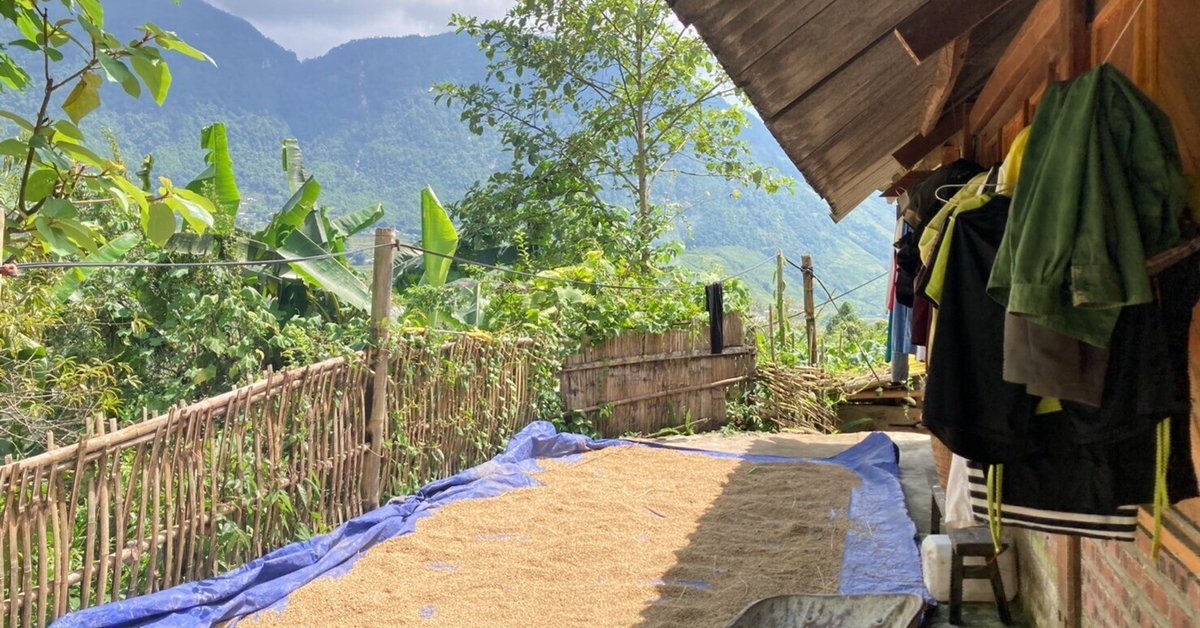 ベトナム、サパに住む赤ザオ族の家と手仕事を訪ねて。｜ま ろ の