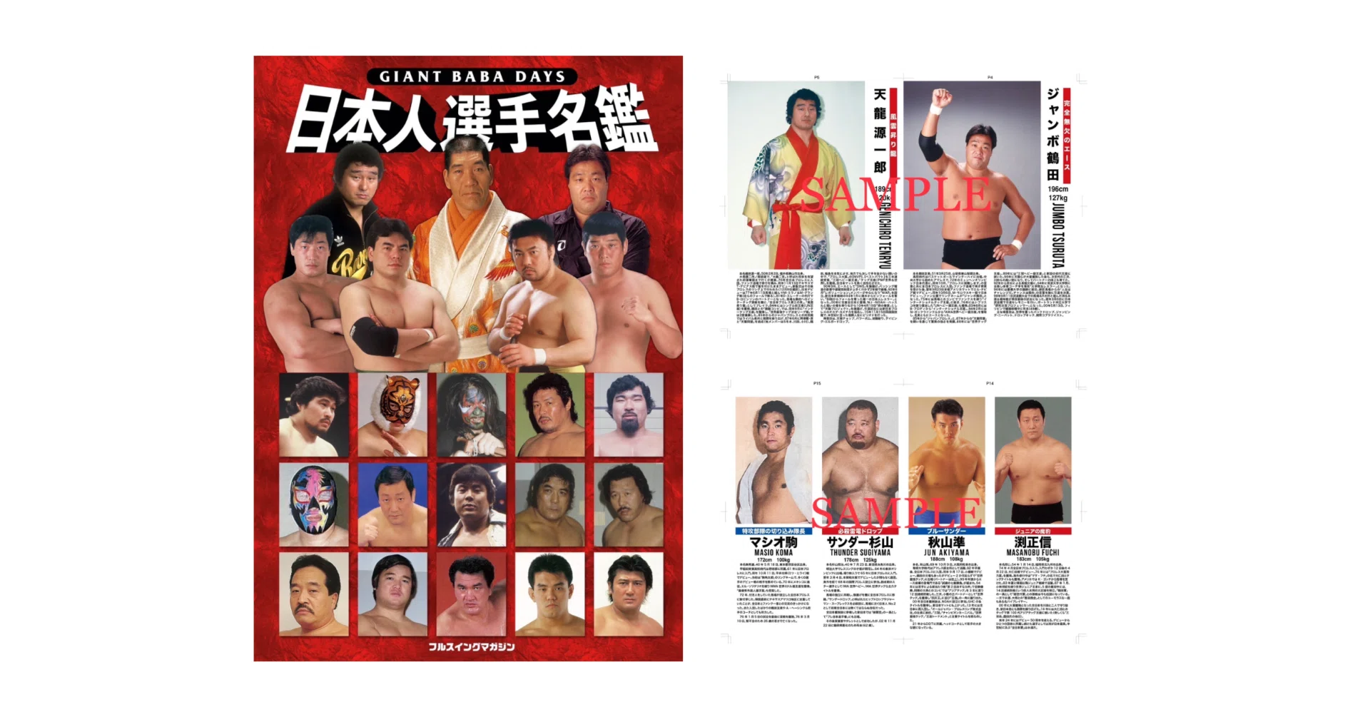 我が心のジャイアント馬場・完全保存版／日刊スポーツグラフ。【66頁　美品】 新商品】「G馬場DAYS日本人選手名鑑」販売のお知らせ｜株式会社H.J.T.