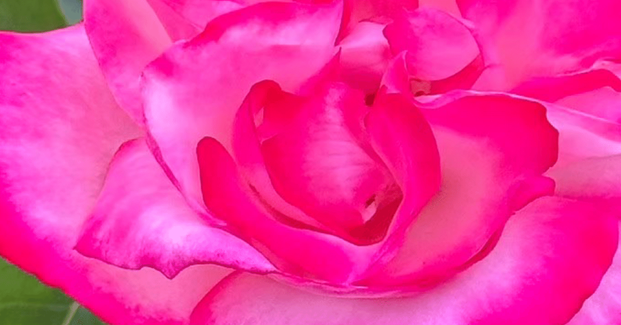 ピンクの薔薇のオルゴナイト♡ ピンクアラゴナイト ハート31♡Pink Aragonite♡天然石・鉱物