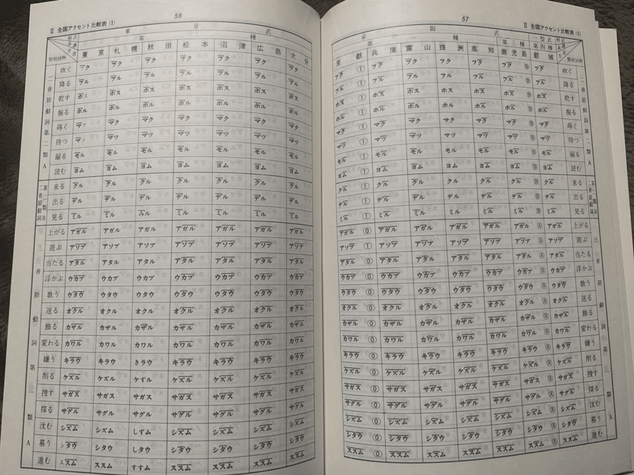 新潟県方言辞典 (下越編)-