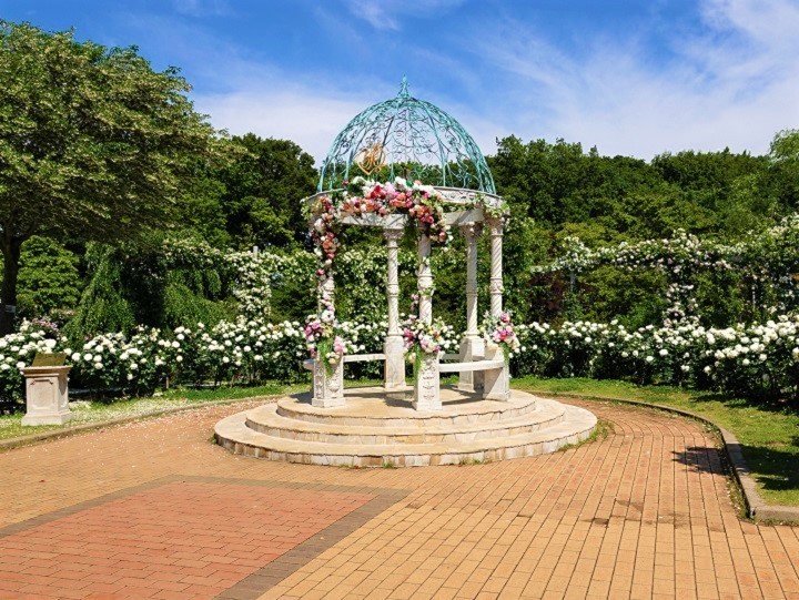 京成バラ園 Writer1623kita Note