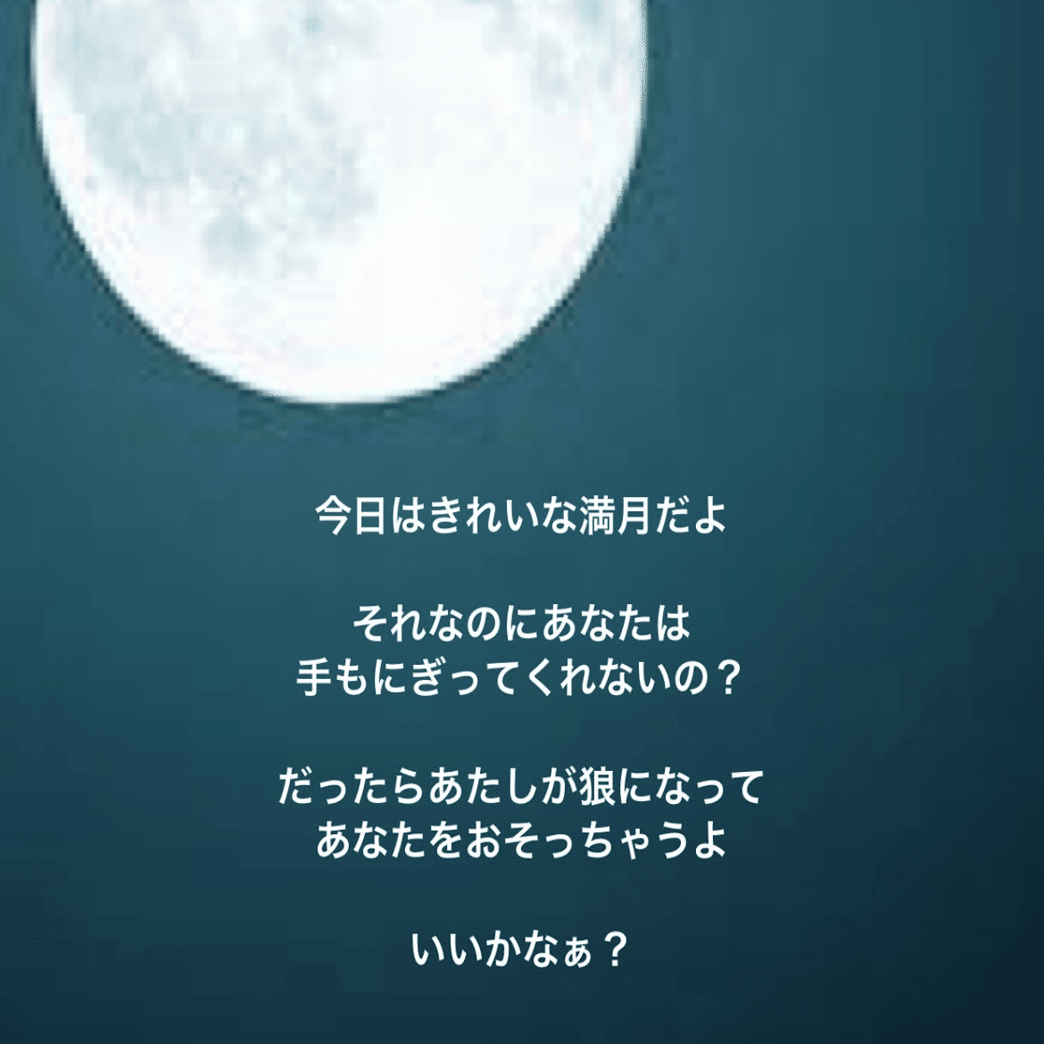 画像14