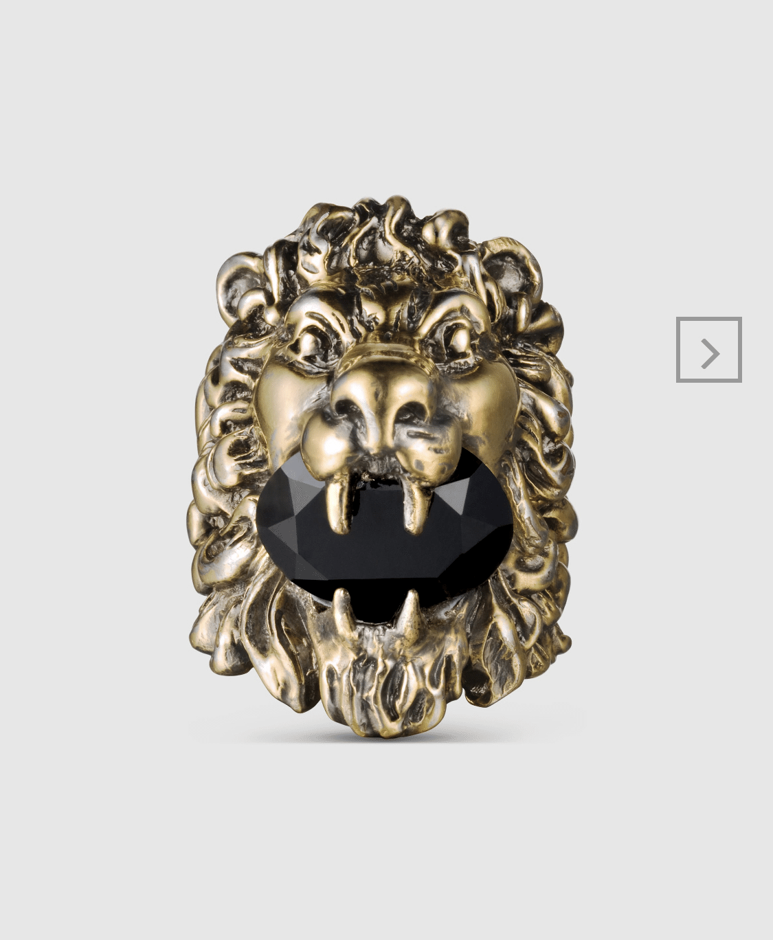 紋章学とギュスターヴ・モロー 、ライオンのドアノッカーがやばい