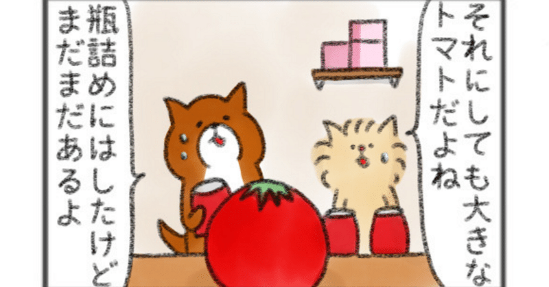 【4コマ】たっちゃん漫画 264話『おばけトマト』