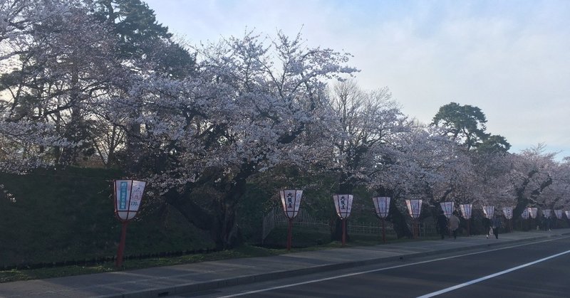 弘前さくらまつり2019.4.21レポート☆弘前公園桜開花状況速報の記録