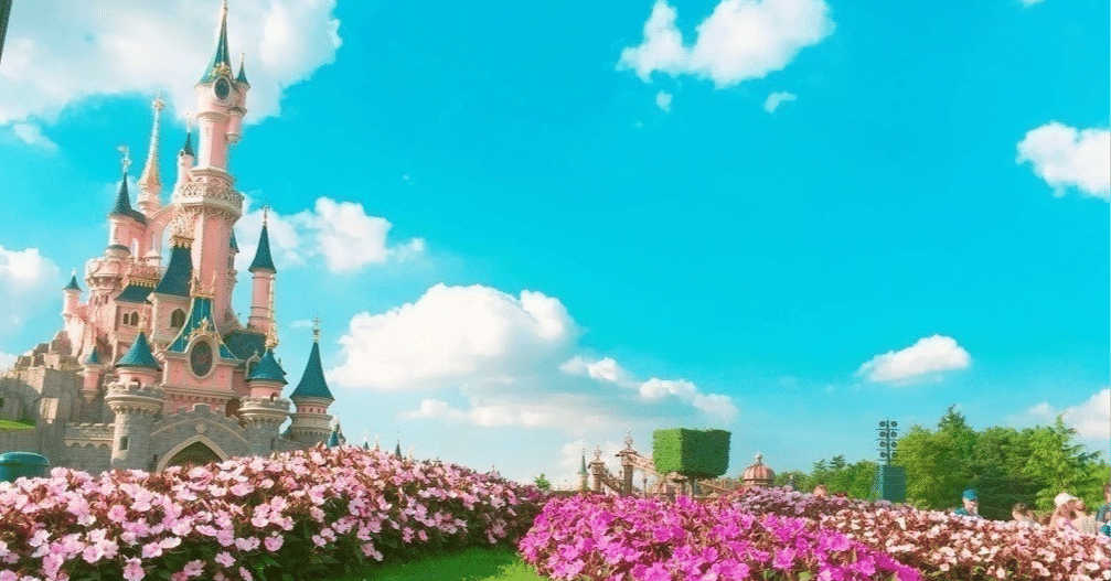 総額80万超え!? DWE ディズニー英語システムを契約してみた話｜あや