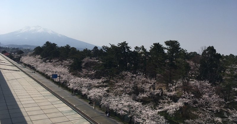 弘前さくらまつり2019.4.22レポート☆弘前公園桜開花状況速報の記録