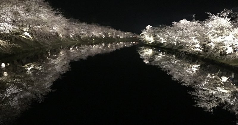 弘前さくらまつり2019.4.23夜桜レポート☆弘前公園桜開花状況速報の記録