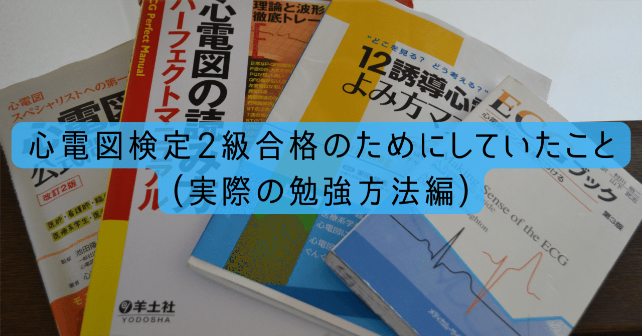 1番人気】心電図中級編2級合格39ステップ(PDF版) | skychi