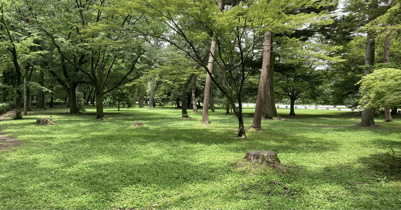 マガジンのカバー画像