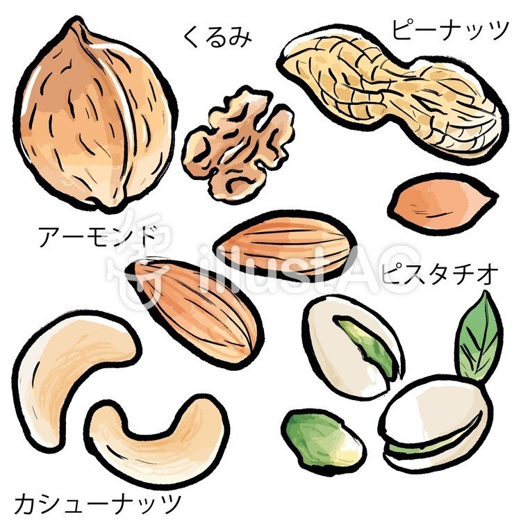 ナッツのイラスト素材を描いてみました ちなみに私の一番好きなナッツはくるみです 食べすぎるのは良くないみたいですね 下記のリンクで無料ダウンロードできます Https Www Ac Illu タコチキ 実録漫画や4コマなどを描いています Note