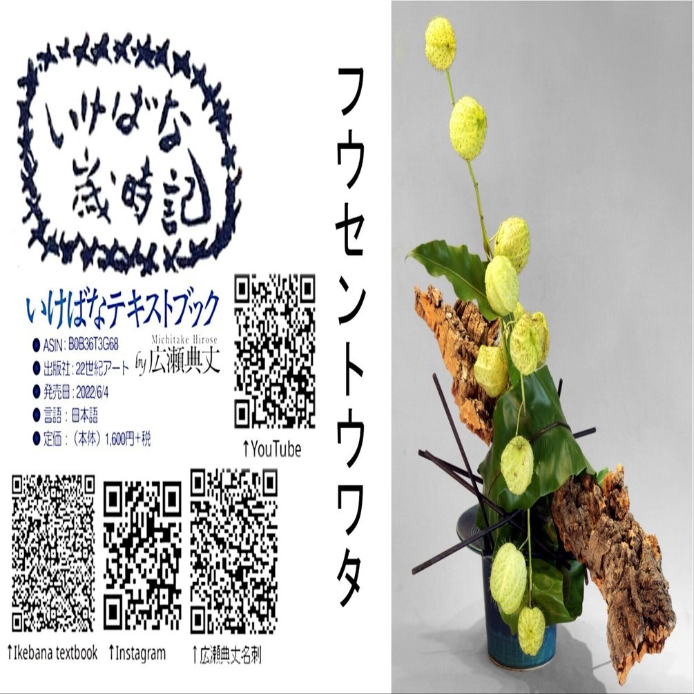 いけばな歳時記 フウセントウワタ｜広瀬典丈