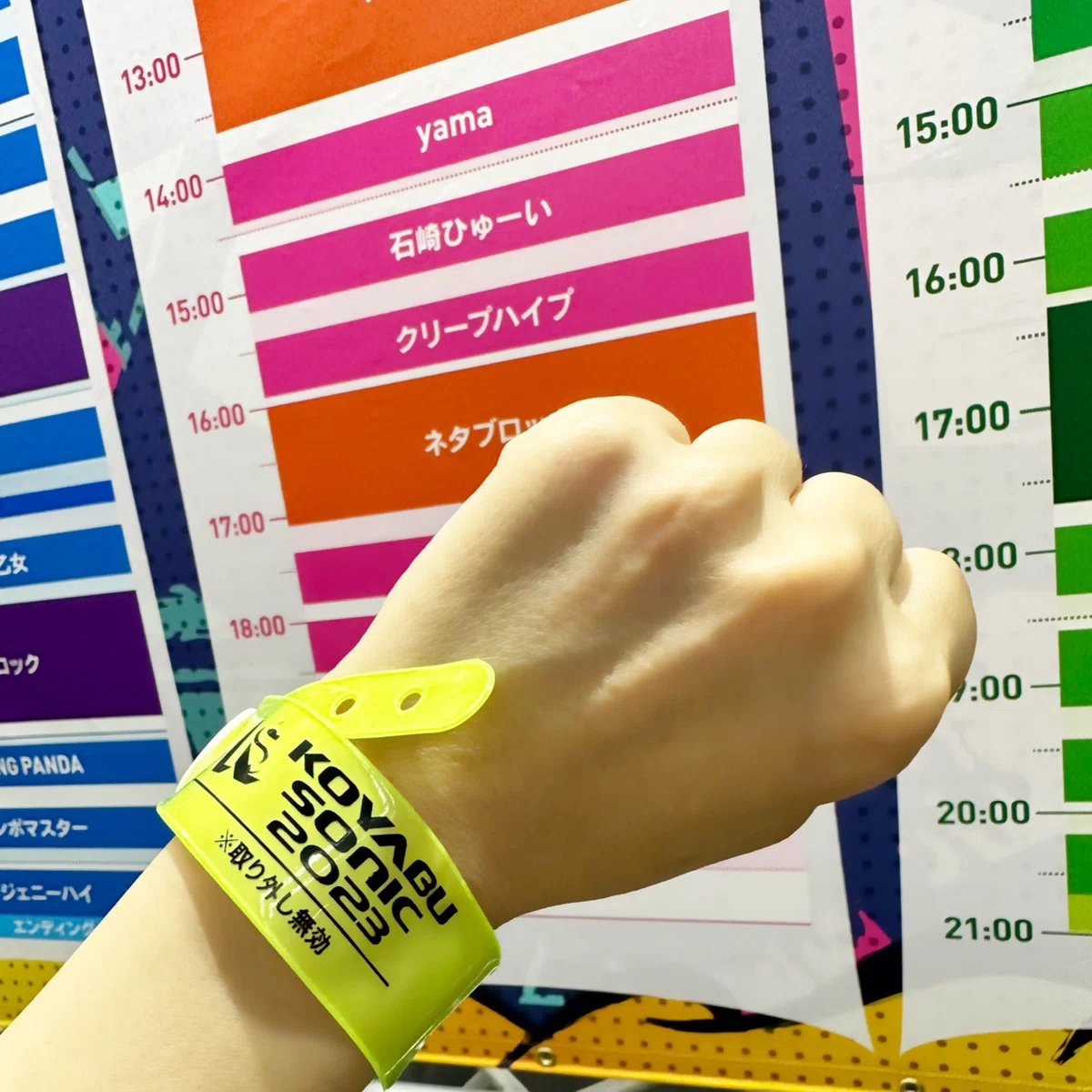 コヤブソニック2024 9/14.15日 2日券2枚バラ売り可