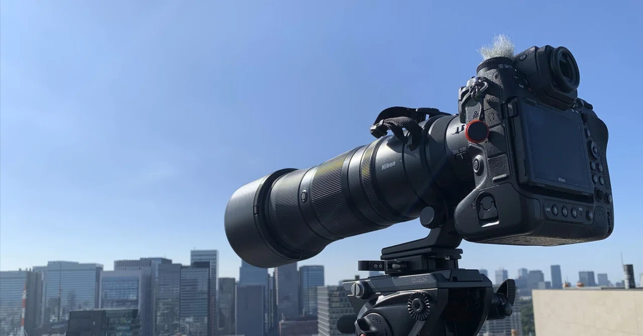 ペイント様　レーダー NIKKOR Z 180-600mm f/5.6-6.3 VR ツバメ編｜ツバメ