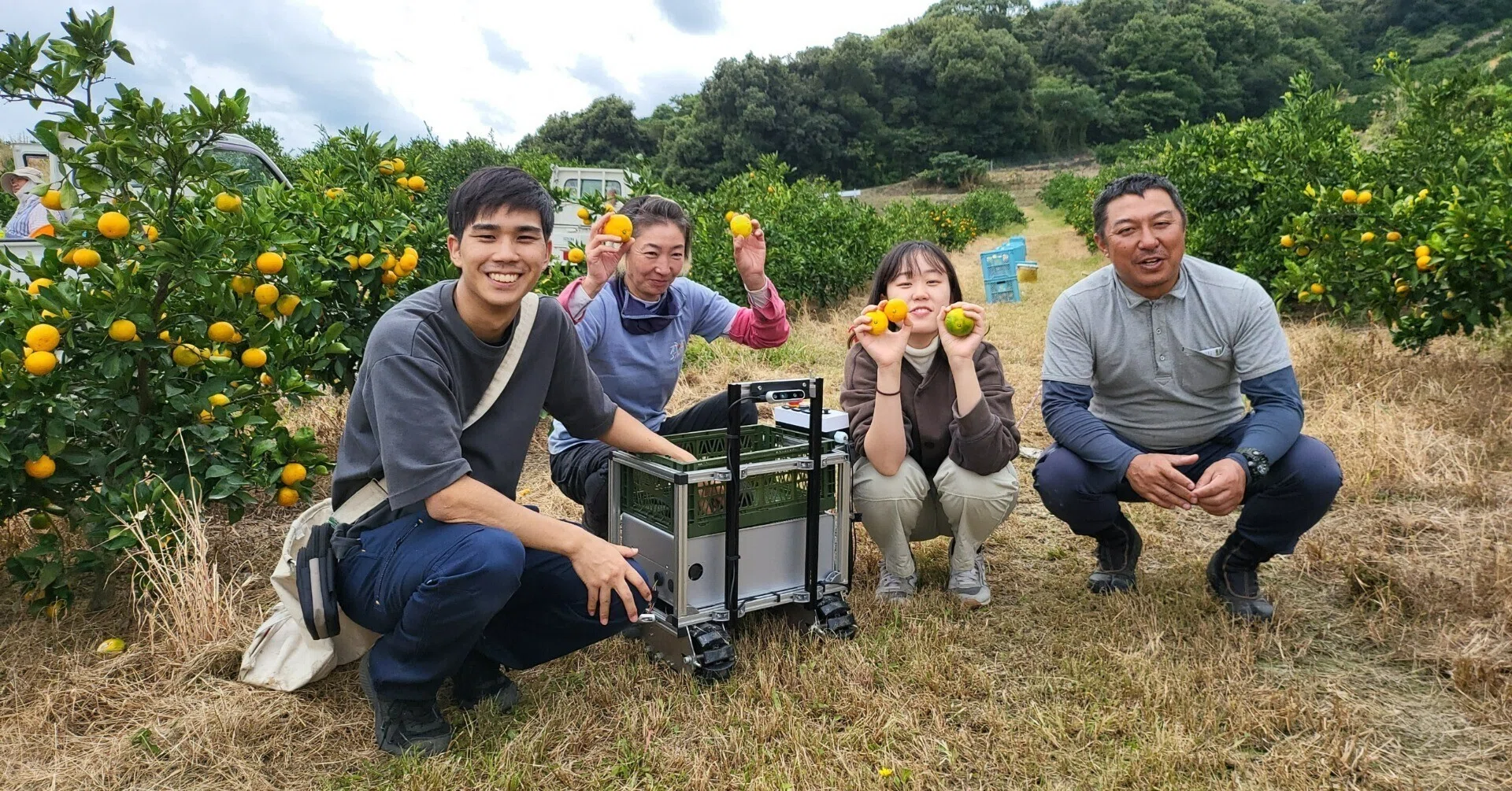 mikan農園 浜松市三ヶ日みかん農園でのロボット実験｜寺島みずひと(Terashima