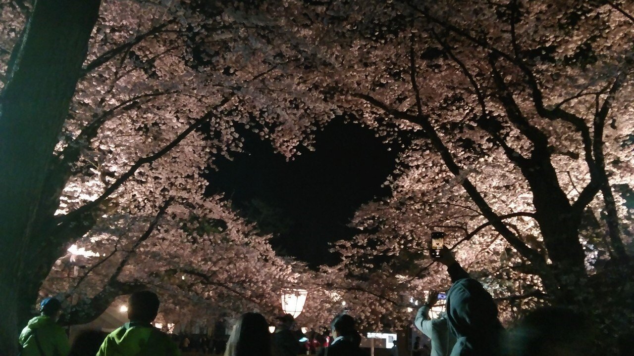 弘前さくらまつり19レポート ハート形の桜 弘前公園人気の隠れスポットを紹介 どくへび Note
