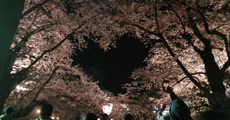 弘前さくらまつり2019レポート☆ハート形の桜？弘前公園人気の隠れスポットを紹介