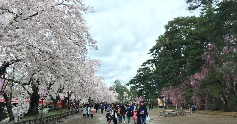 弘前さくらまつり2019.4.27レポート☆弘前公園桜開花状況速報の記録