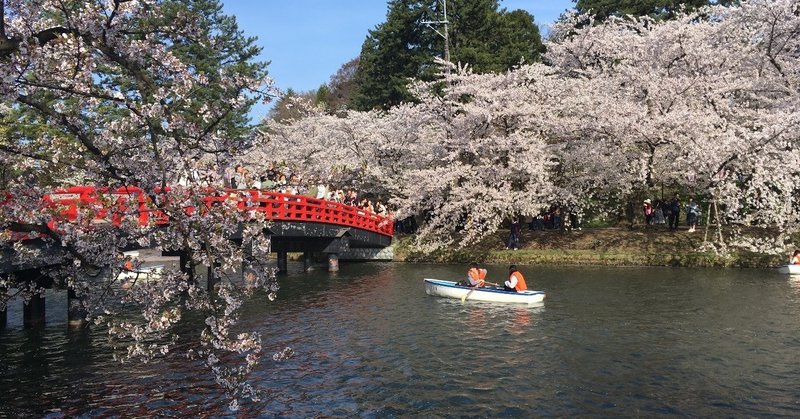 弘前さくらまつり2019.4.28レポート☆弘前公園桜開花状況速報の記録