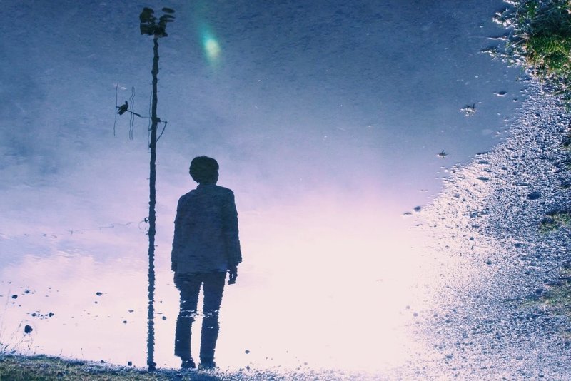 雨上がりの写真たち 小太り フリーwebライター Note
