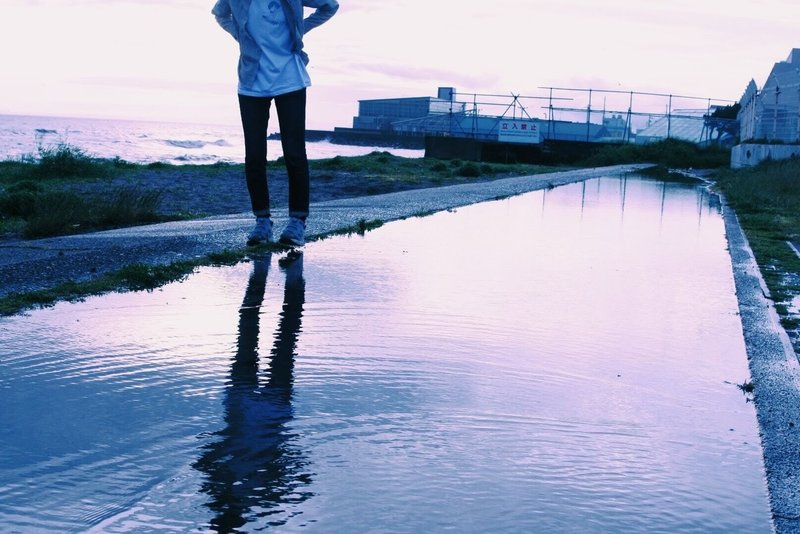 雨上がりの写真たち 小太り フリーwebライター Note 雨上がりの写真たち 小太り フリーwebライター Note