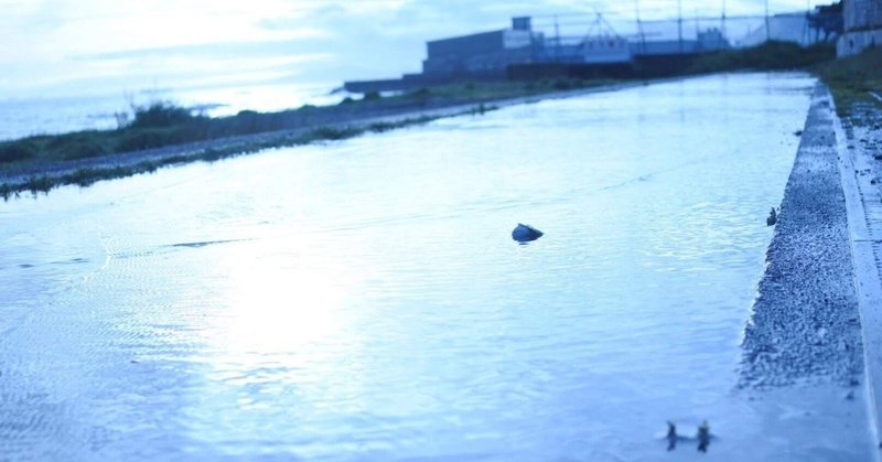 雨上がりの写真たち 小太り フリーwebライター Note