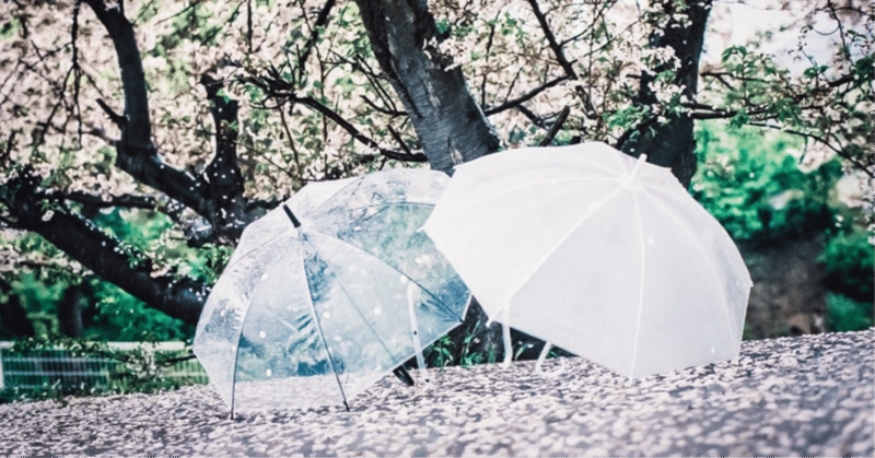 桜並木、二つの傘/フジファブリック