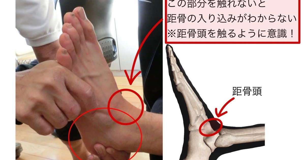 理学療法マネジメント 4冊セット（脊椎・肩関節・足部・股関節） 理学