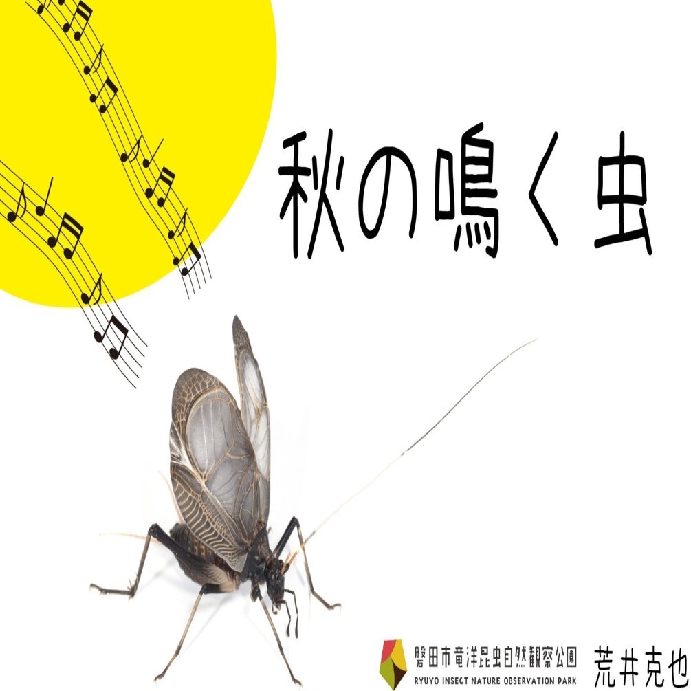 耳をすませば聞こえてくる。秋の鳴く虫♪｜竜洋昆虫自然観察公園