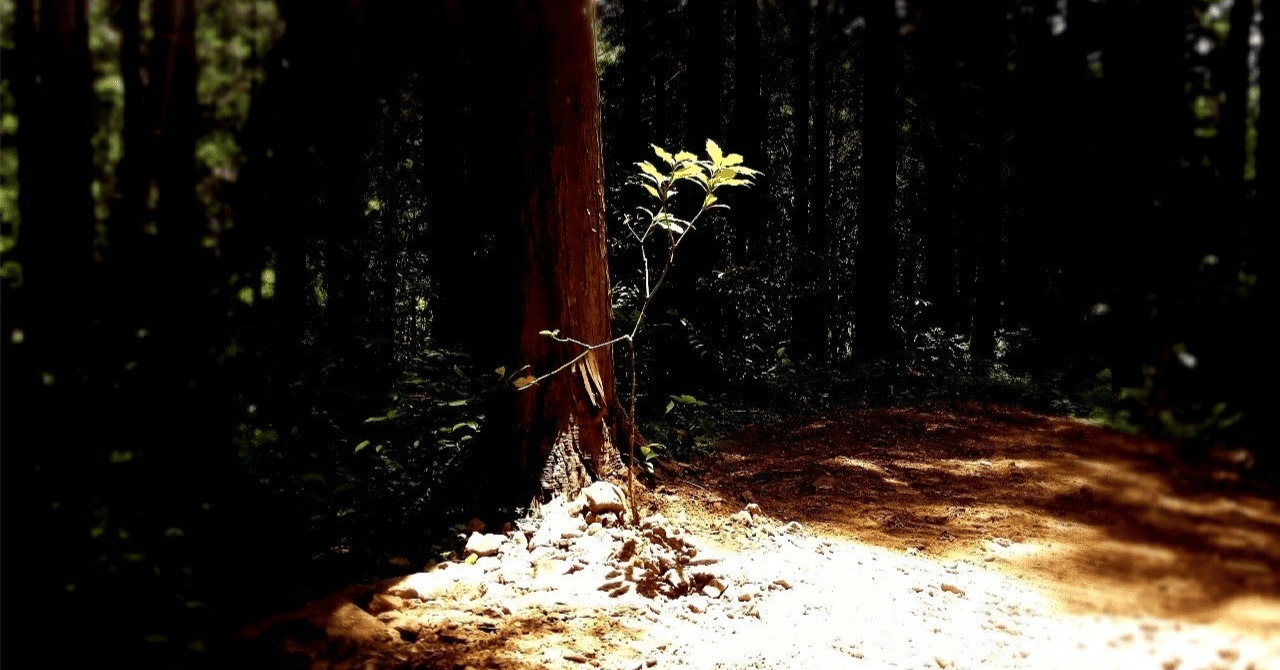 いつ、どのように助けを求めるべきか