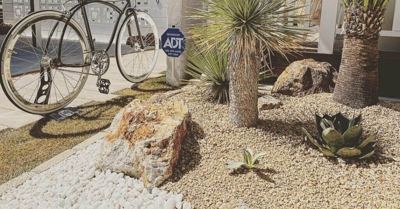 サボテン 岩石獅子C ドライガーデン ガーデニング シルバーブルー