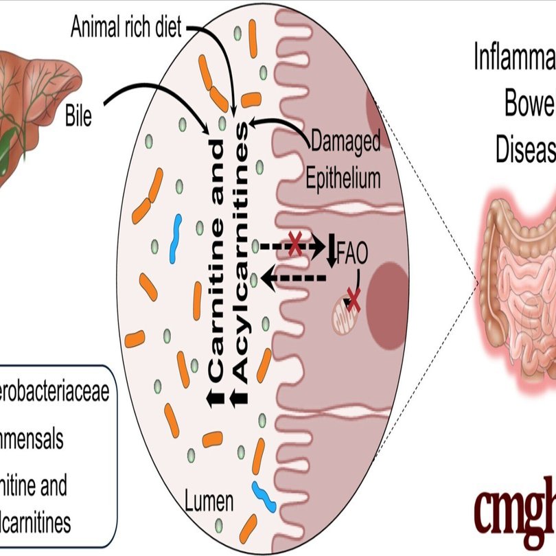 フィッシャーエステル化機構を調べる