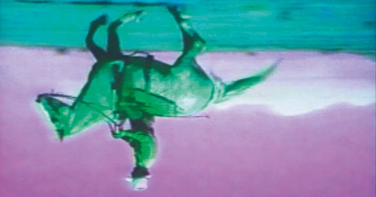 アートブック ブルースナウマン Bruce Nauman LIVE OR DIE BRUCE NAUMAN：ブルース・ナウマンの販売・通販 | OIL