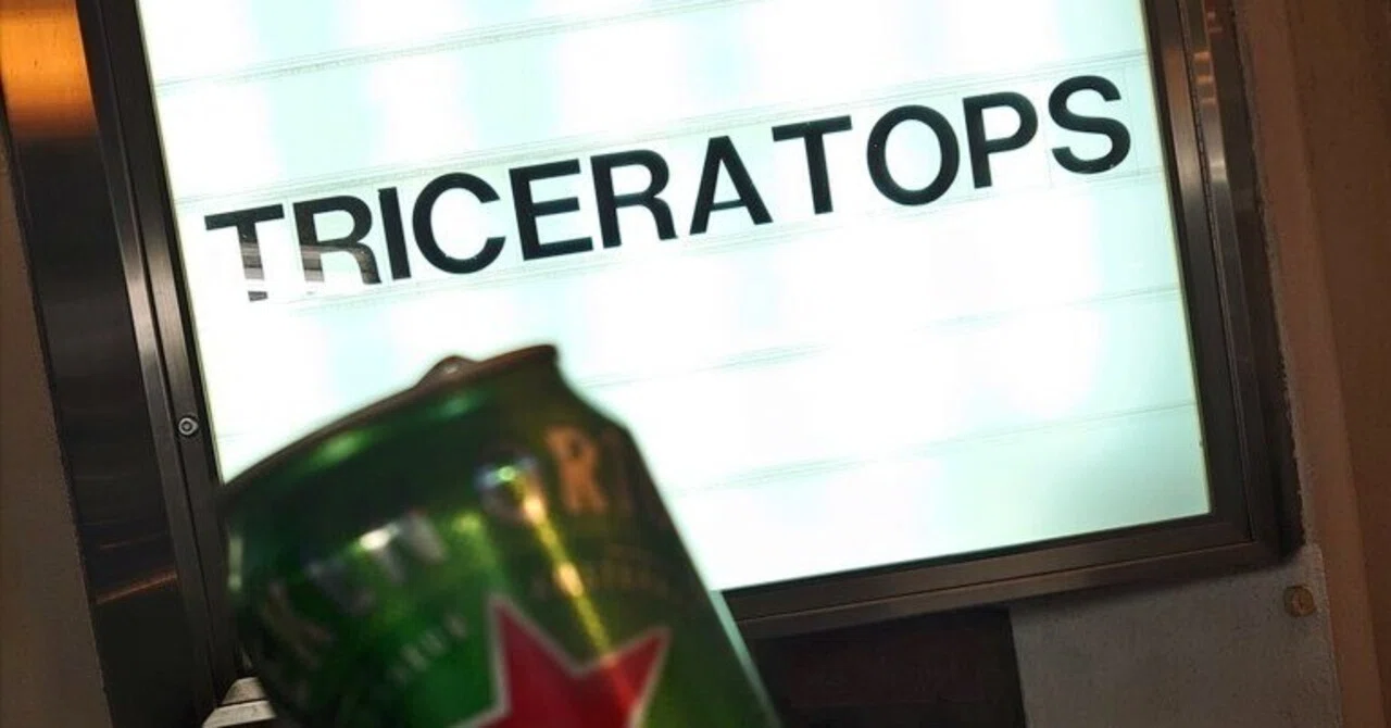 わたしの【TRICERATOPS “THE GREAT SKELETON'S MUSIC GUIDE BOOK