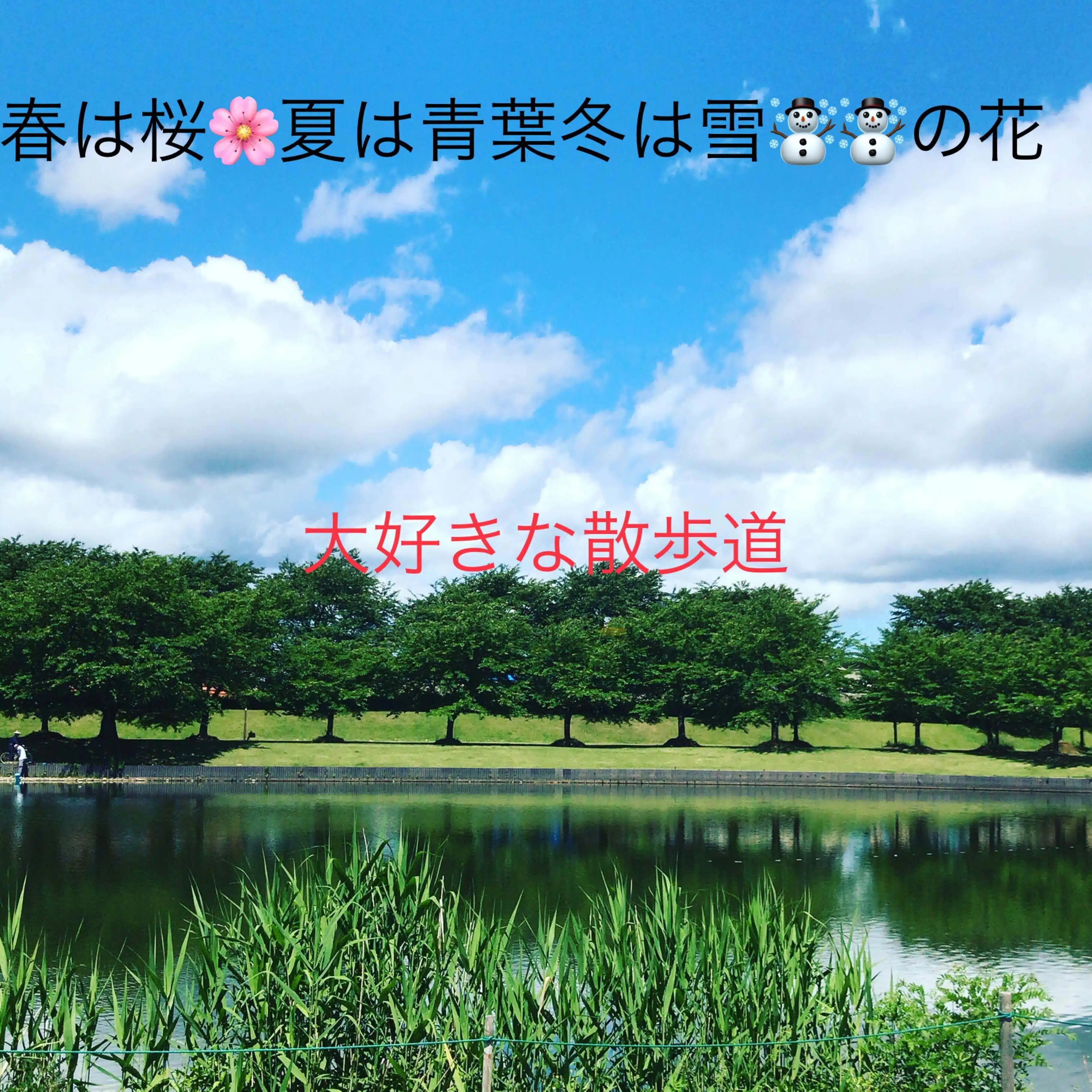 晩春