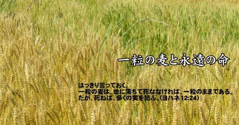 一粒の麦と永遠の命｜たかぱん