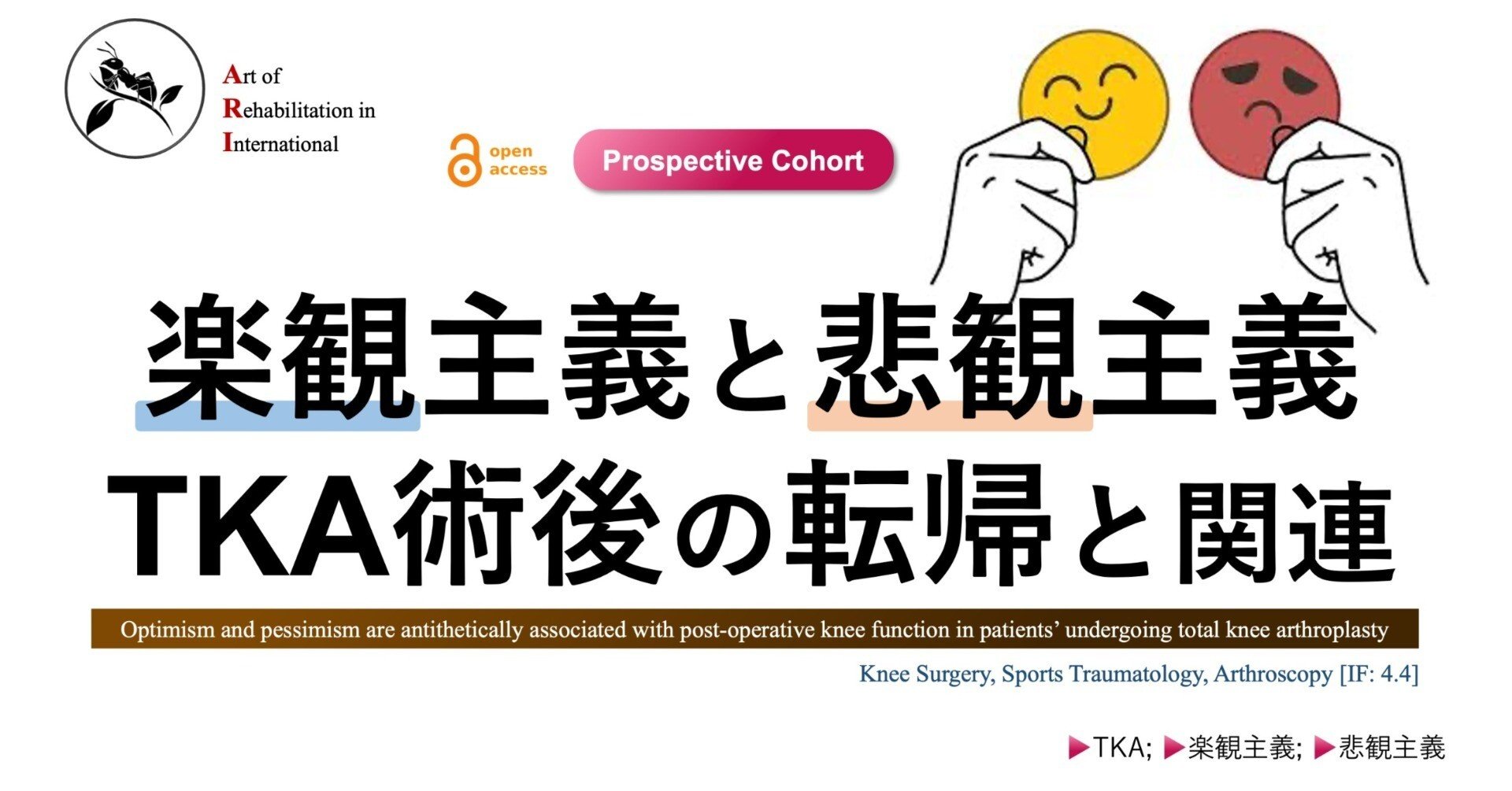 間主観性の軌跡―治療プロセス理論と症例のアーティキュレーション 間主観性の軌跡―治療プロセス理論と症例のアーティキュ