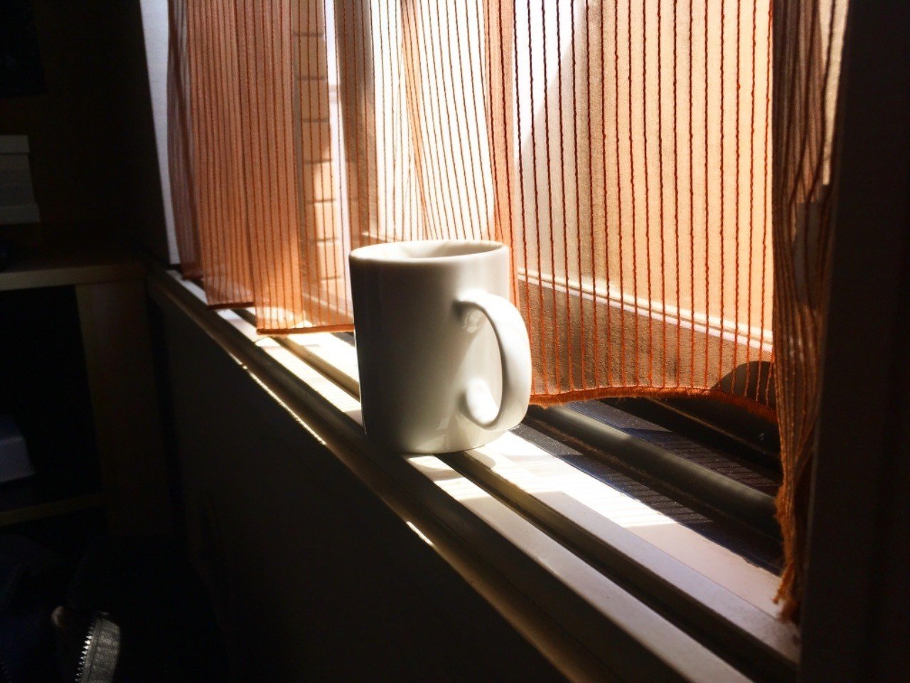 一日 何回感謝してる 心から感謝することの難しさ ひらやま Cotree Note