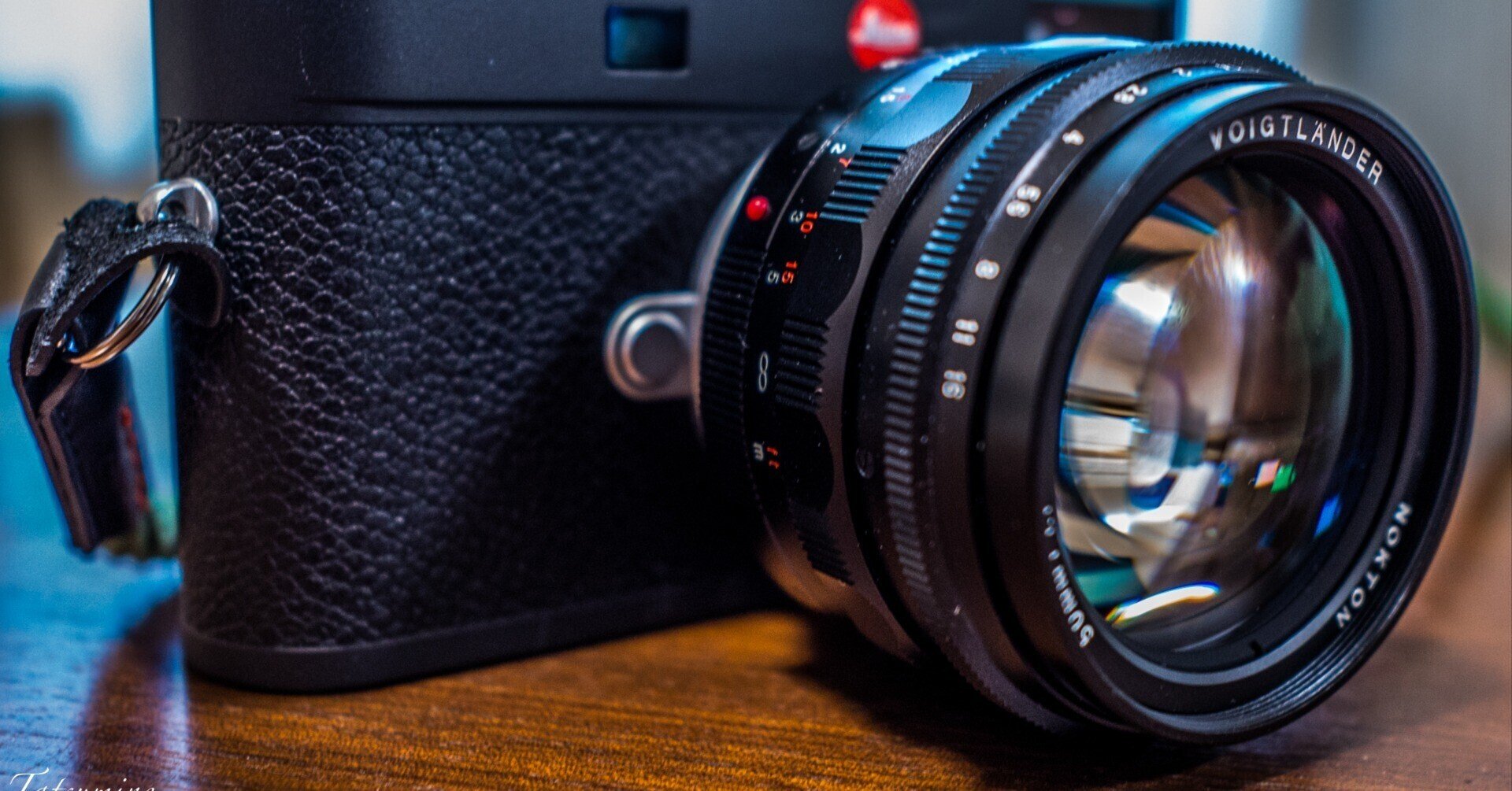 コシナ Voigtlander NOKTON 50mm F1.1を購入したので撮ってきました コシナ Voigtlander NOKTON 50mm F1.1を購入したので撮ってきました