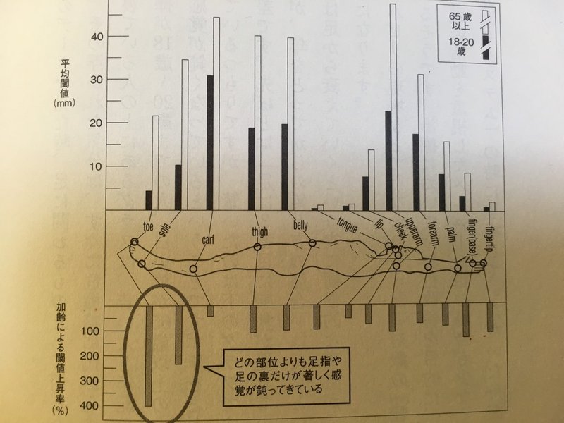 足は大切な感覚器 平山昌弘 Awareness Anatomist Note 足は大切な感覚器 平山昌弘 Awareness Anatomist Note