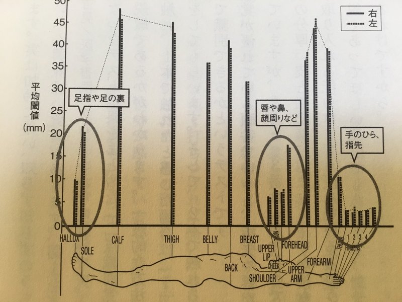足は大切な感覚器 平山昌弘 Awareness Anatomist Note 足は大切な感覚器 平山昌弘 Awareness Anatomist Note