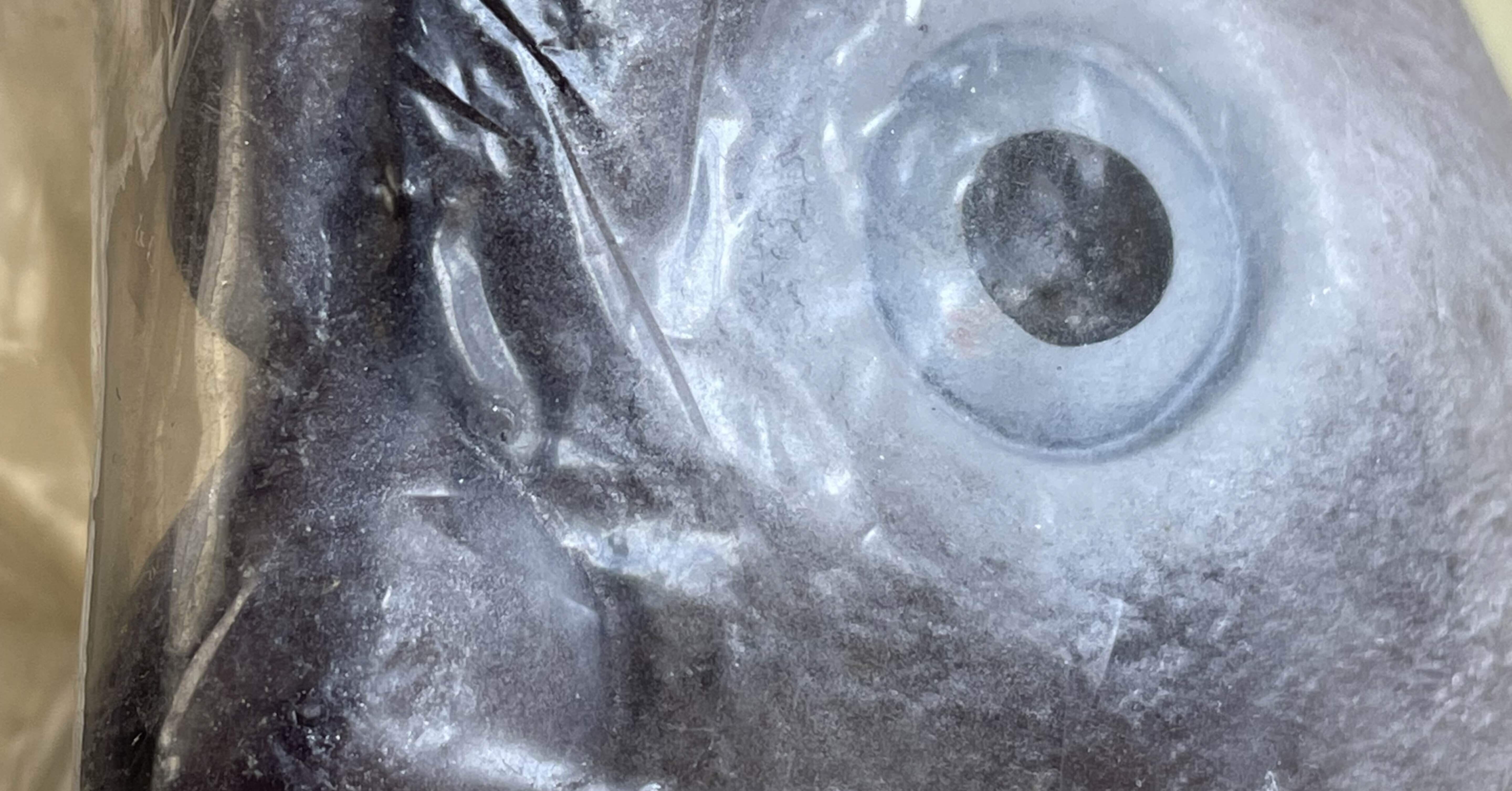 イジリー岡田の【ソフビひとり語り】 仮面ライダー怪人編 アリキメデス